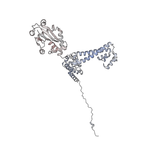 0953_6lqt_3E_v1-2
Cryo-EM structure of 90S small subunit preribosomes in transition states (State E)