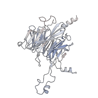 0953_6lqt_3F_v1-1
Cryo-EM structure of 90S small subunit preribosomes in transition states (State E)