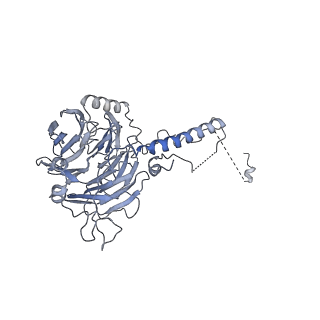 0953_6lqt_5C_v1-1
Cryo-EM structure of 90S small subunit preribosomes in transition states (State E)