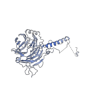 0953_6lqt_5C_v1-2
Cryo-EM structure of 90S small subunit preribosomes in transition states (State E)