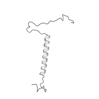 0953_6lqt_5D_v1-1
Cryo-EM structure of 90S small subunit preribosomes in transition states (State E)