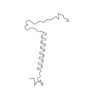 0953_6lqt_5D_v1-2
Cryo-EM structure of 90S small subunit preribosomes in transition states (State E)