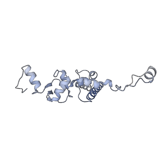 0953_6lqt_5F_v1-1
Cryo-EM structure of 90S small subunit preribosomes in transition states (State E)