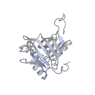 0953_6lqt_5G_v1-1
Cryo-EM structure of 90S small subunit preribosomes in transition states (State E)
