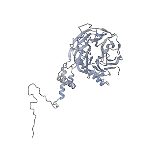 0953_6lqt_5I_v1-1
Cryo-EM structure of 90S small subunit preribosomes in transition states (State E)