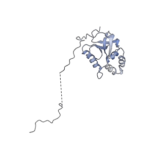 0953_6lqt_5K_v1-1
Cryo-EM structure of 90S small subunit preribosomes in transition states (State E)