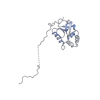 0953_6lqt_5K_v1-2
Cryo-EM structure of 90S small subunit preribosomes in transition states (State E)