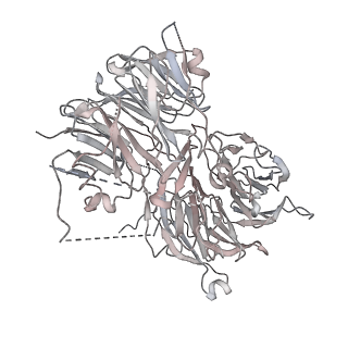 0953_6lqt_A4_v1-1
Cryo-EM structure of 90S small subunit preribosomes in transition states (State E)