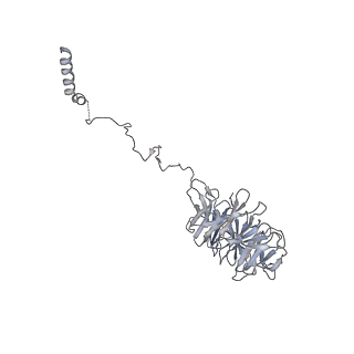 0953_6lqt_A5_v1-1
Cryo-EM structure of 90S small subunit preribosomes in transition states (State E)