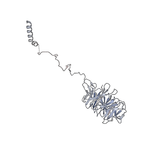 0953_6lqt_A5_v1-2
Cryo-EM structure of 90S small subunit preribosomes in transition states (State E)