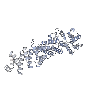 0953_6lqt_AE_v1-2
Cryo-EM structure of 90S small subunit preribosomes in transition states (State E)