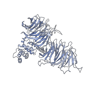 0953_6lqt_B1_v1-1
Cryo-EM structure of 90S small subunit preribosomes in transition states (State E)