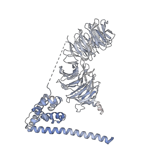 0953_6lqt_B2_v1-1
Cryo-EM structure of 90S small subunit preribosomes in transition states (State E)