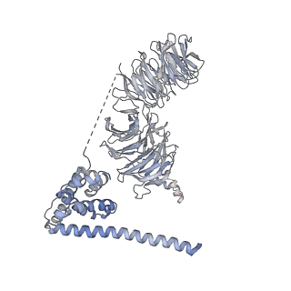 0953_6lqt_B2_v1-2
Cryo-EM structure of 90S small subunit preribosomes in transition states (State E)