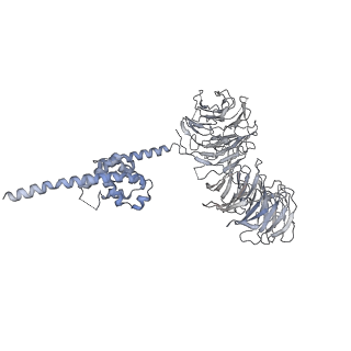 0953_6lqt_B3_v1-1
Cryo-EM structure of 90S small subunit preribosomes in transition states (State E)