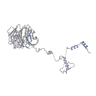 0953_6lqt_B8_v1-1
Cryo-EM structure of 90S small subunit preribosomes in transition states (State E)