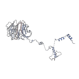 0953_6lqt_B8_v1-2
Cryo-EM structure of 90S small subunit preribosomes in transition states (State E)