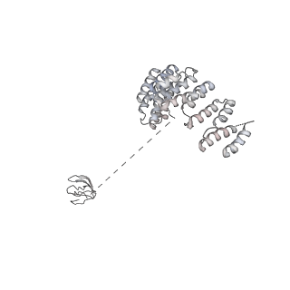 0953_6lqt_RD_v1-1
Cryo-EM structure of 90S small subunit preribosomes in transition states (State E)