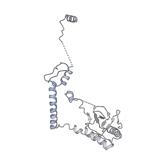 0953_6lqt_RF_v1-2
Cryo-EM structure of 90S small subunit preribosomes in transition states (State E)