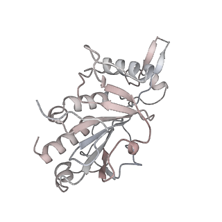 0953_6lqt_RH_v1-1
Cryo-EM structure of 90S small subunit preribosomes in transition states (State E)