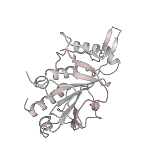 0953_6lqt_RH_v1-2
Cryo-EM structure of 90S small subunit preribosomes in transition states (State E)