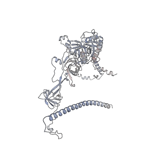 0953_6lqt_RJ_v1-1
Cryo-EM structure of 90S small subunit preribosomes in transition states (State E)