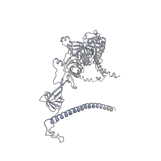 0953_6lqt_RJ_v1-2
Cryo-EM structure of 90S small subunit preribosomes in transition states (State E)