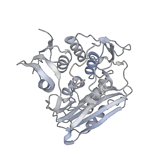 0953_6lqt_RK_v1-2
Cryo-EM structure of 90S small subunit preribosomes in transition states (State E)