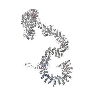 0953_6lqt_RP_v1-1
Cryo-EM structure of 90S small subunit preribosomes in transition states (State E)
