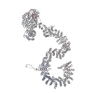 0953_6lqt_RP_v1-2
Cryo-EM structure of 90S small subunit preribosomes in transition states (State E)