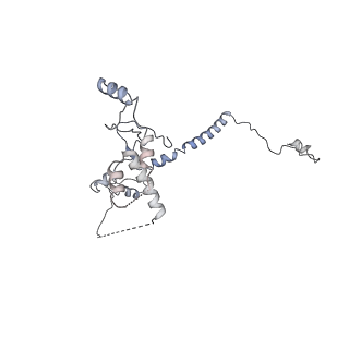 0953_6lqt_RQ_v1-2
Cryo-EM structure of 90S small subunit preribosomes in transition states (State E)