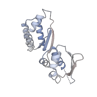 0953_6lqt_RT_v1-1
Cryo-EM structure of 90S small subunit preribosomes in transition states (State E)
