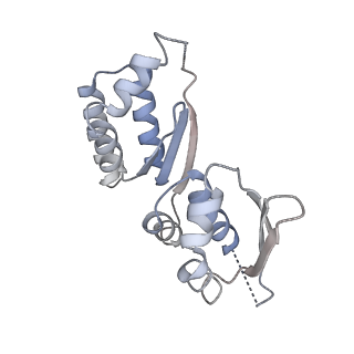 0953_6lqt_RT_v1-2
Cryo-EM structure of 90S small subunit preribosomes in transition states (State E)