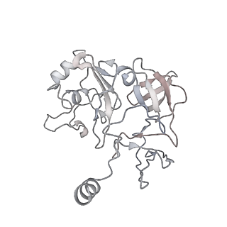 0953_6lqt_SF_v1-2
Cryo-EM structure of 90S small subunit preribosomes in transition states (State E)