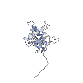 0953_6lqt_SG_v1-2
Cryo-EM structure of 90S small subunit preribosomes in transition states (State E)