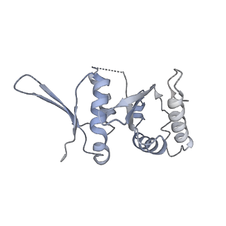 0953_6lqt_SI_v1-2
Cryo-EM structure of 90S small subunit preribosomes in transition states (State E)