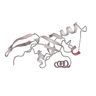 0953_6lqt_SJ_v1-1
Cryo-EM structure of 90S small subunit preribosomes in transition states (State E)
