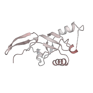 0953_6lqt_SJ_v1-2
Cryo-EM structure of 90S small subunit preribosomes in transition states (State E)