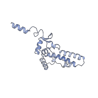 0953_6lqt_SK_v1-2
Cryo-EM structure of 90S small subunit preribosomes in transition states (State E)