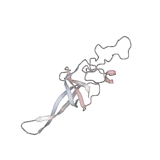0953_6lqt_SM_v1-1
Cryo-EM structure of 90S small subunit preribosomes in transition states (State E)
