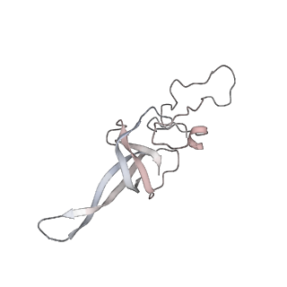 0953_6lqt_SM_v1-2
Cryo-EM structure of 90S small subunit preribosomes in transition states (State E)