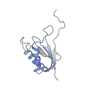 0953_6lqt_SP_v1-2
Cryo-EM structure of 90S small subunit preribosomes in transition states (State E)