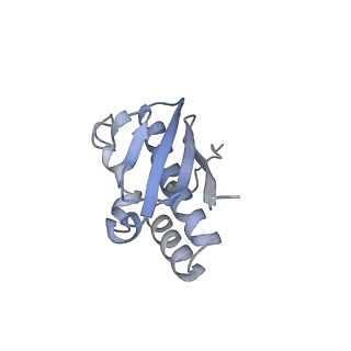 0953_6lqt_SR_v1-1
Cryo-EM structure of 90S small subunit preribosomes in transition states (State E)