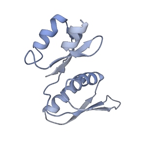 0953_6lqt_SX_v1-2
Cryo-EM structure of 90S small subunit preribosomes in transition states (State E)