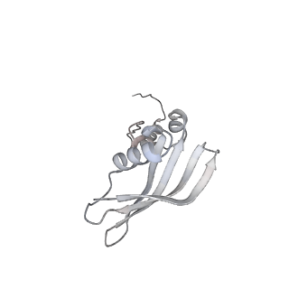 0953_6lqt_SZ_v1-1
Cryo-EM structure of 90S small subunit preribosomes in transition states (State E)