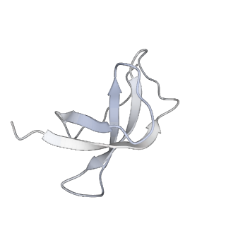 0953_6lqt_Sd_v1-2
Cryo-EM structure of 90S small subunit preribosomes in transition states (State E)