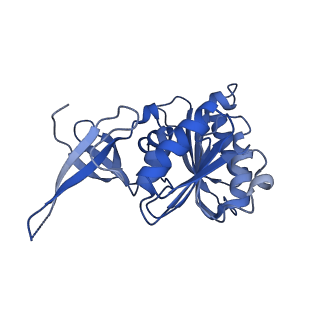 0954_6lqu_3B_v1-1
Cryo-EM structure of 90S small subunit preribosomes in transition states (State A1)