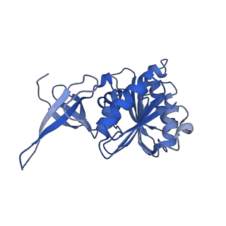 0954_6lqu_3B_v1-2
Cryo-EM structure of 90S small subunit preribosomes in transition states (State A1)