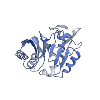 0954_6lqu_3C_v1-1
Cryo-EM structure of 90S small subunit preribosomes in transition states (State A1)
