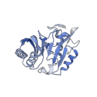 0954_6lqu_3C_v1-2
Cryo-EM structure of 90S small subunit preribosomes in transition states (State A1)